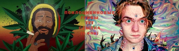тгк Алзамай