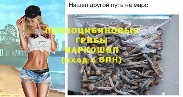тгк Алзамай