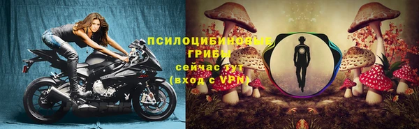 тгк Алзамай